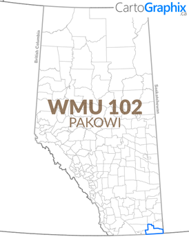 WMU 102 Pakowi - 36"W x 24"H