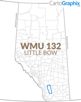 WMU 132 Little Bow - 36"W x 24"H