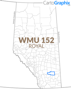 WMU 152 Royal - 36"W x 24"H
