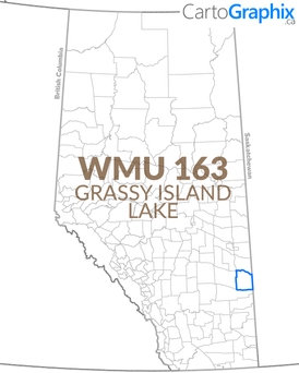 WMU 163 Grassy Island Lake - 36"W x 24"H