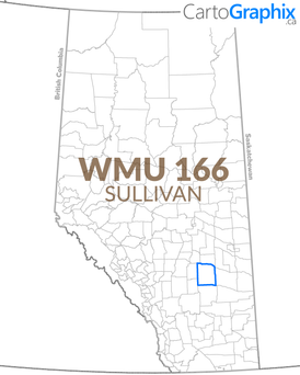 WMU 166 Sullivan - 36"W x 24"H
