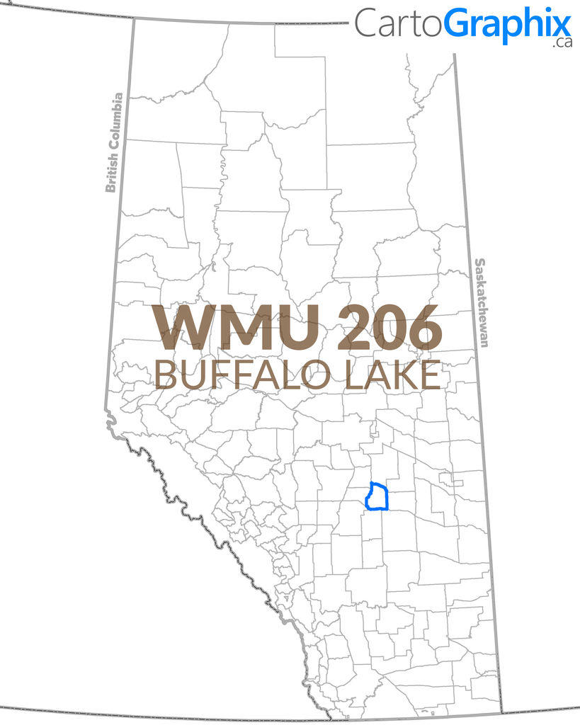 WMU 206 Buffalo Lake Map