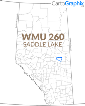 WMU 260 Saddle Lake Map