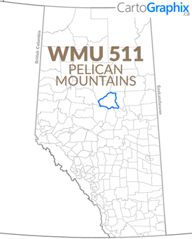 WMU 511 Pelican Mountains Map
