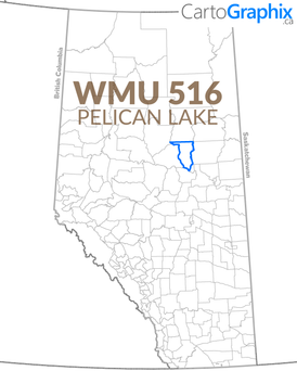 WMU 516 Pelican Lake Map