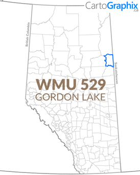 WMU 529 Gordon Lake Map